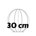 30cm